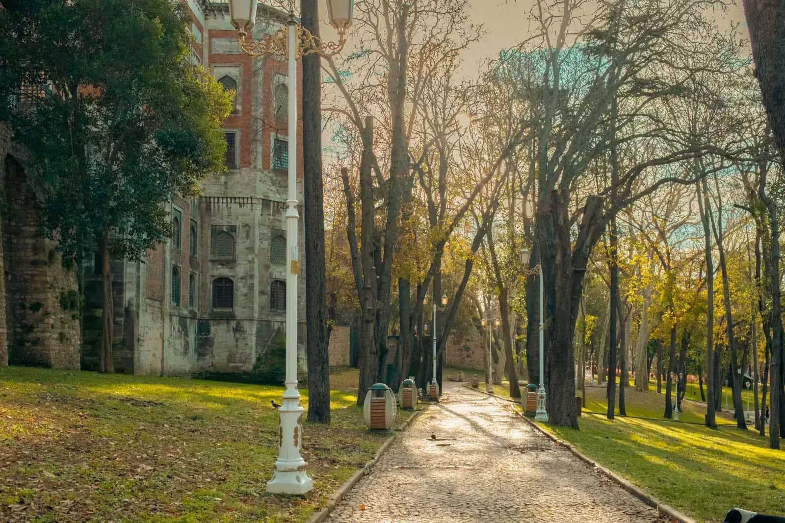 Gülhane, Yıldız Park and Emirgan Grove, Istanbul's historic gardens